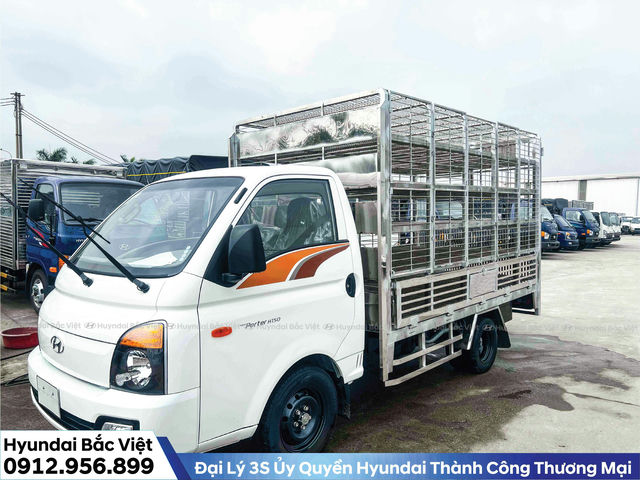 Top 5 mẫu xe tải chở gia súc Hyundai bền bỉ nhất